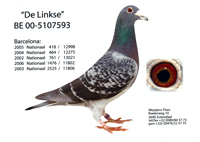 linkse